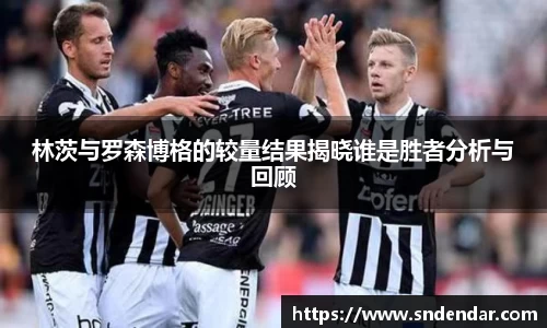 林茨与罗森博格的较量结果揭晓谁是胜者分析与回顾